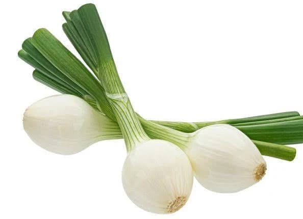 oigon-vert