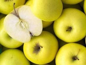 pomme jaune