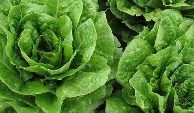 salade