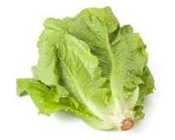 salade thumbnail 2